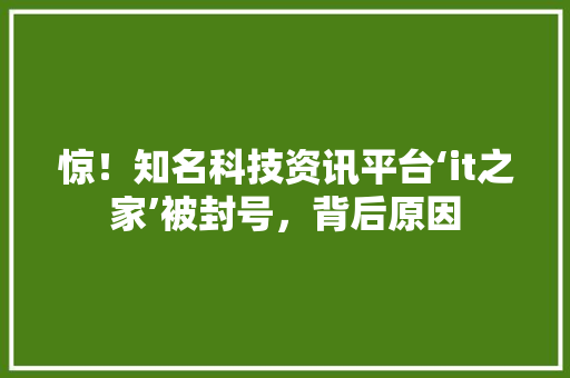 惊！知名科技资讯平台‘it之家’被封号，背后原因 英文谷歌算法