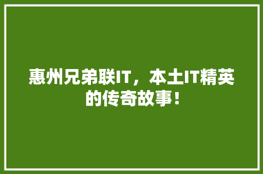 惠州兄弟联IT，本土IT精英的传奇故事！