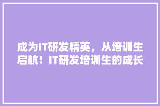 成为IT研发精英，从培训生启航！IT研发培训生的成长之路！ 网站开发