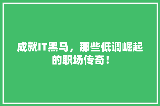 成就IT黑马，那些低调崛起的职场传奇！ 百度算法
