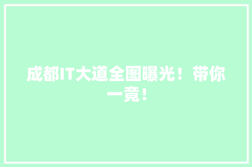 成都IT大道全图曝光！带你一竟！