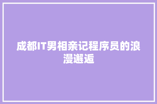 成都IT男相亲记程序员的浪漫邂逅