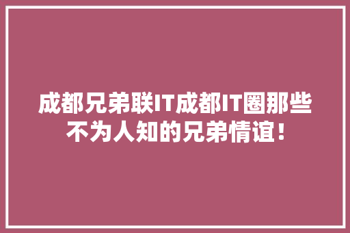 成都兄弟联IT成都IT圈那些不为人知的兄弟情谊！ 英文谷歌算法