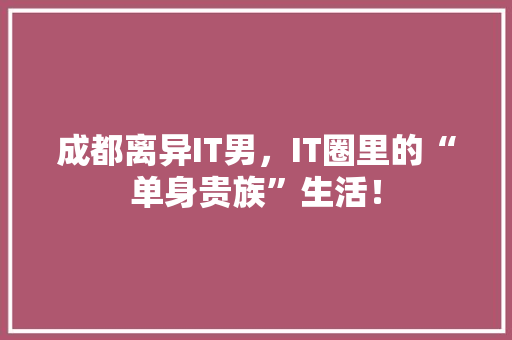 成都离异IT男，IT圈里的“单身贵族”生活！