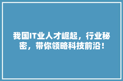 我国IT业人才崛起，行业秘密，带你领略科技前沿！