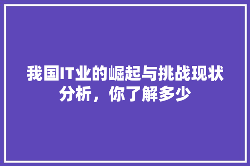 我国IT业的崛起与挑战现状分析，你了解多少