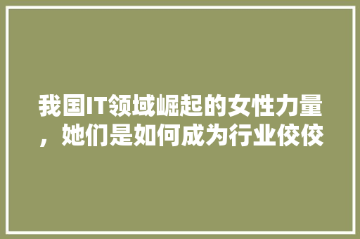 我国IT领域崛起的女性力量，她们是如何成为行业佼佼者的