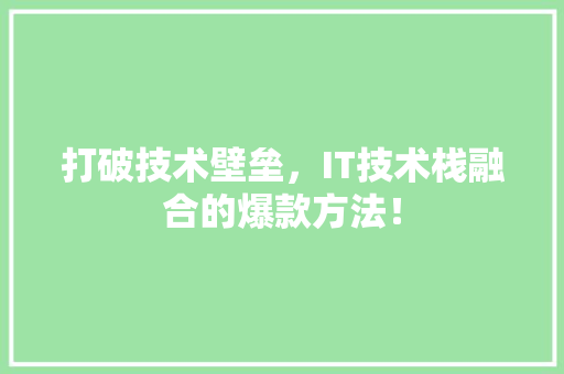 打破技术壁垒，IT技术栈融合的爆款方法！ 网站开发