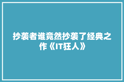 抄袭者谁竟然抄袭了经典之作《IT狂人》