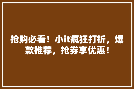 抢购必看！小it疯狂打折，爆款推荐，抢券享优惠！ 头条优化