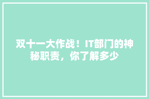 双十一大作战！IT部门的神秘职责，你了解多少