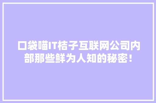 口袋喵IT桔子互联网公司内部那些鲜为人知的秘密！