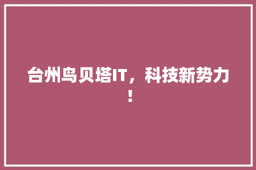 台州鸟贝塔IT，科技新势力！