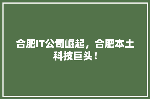 合肥IT公司崛起，合肥本土科技巨头！