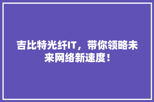 吉比特光纤IT，带你领略未来网络新速度！ seo技术