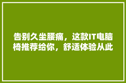告别久坐腰痛，这款IT电脑椅推荐给你，舒适体验从此开始！