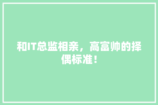 和IT总监相亲，高富帅的择偶标准！