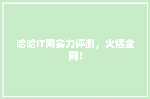 哈哈IT网实力评测，火爆全网！
