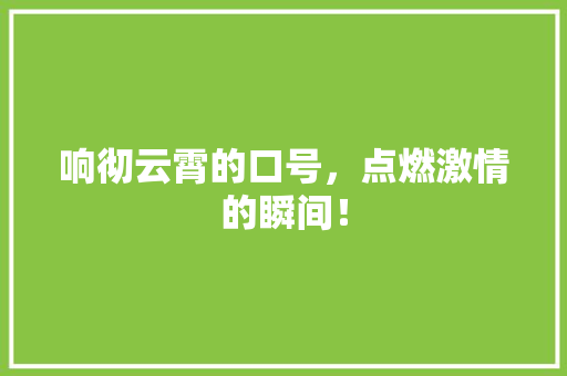 响彻云霄的口号，点燃激情的瞬间！ seo技术