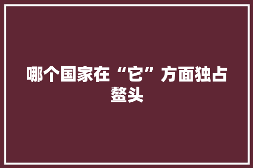 哪个国家在“它”方面独占鳌头 网站开发