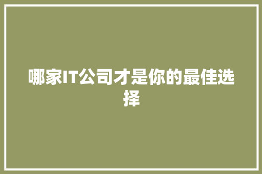 哪家IT公司才是你的最佳选择