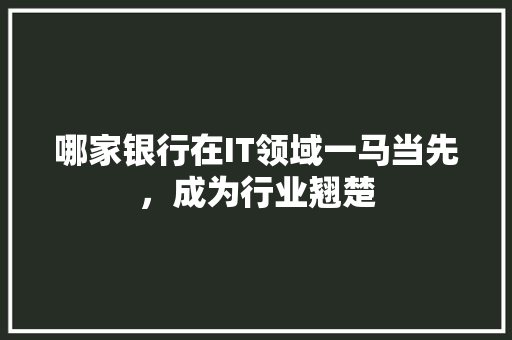 哪家银行在IT领域一马当先，成为行业翘楚