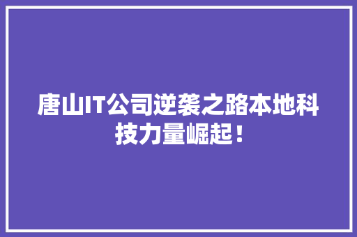 唐山IT公司逆袭之路本地科技力量崛起！