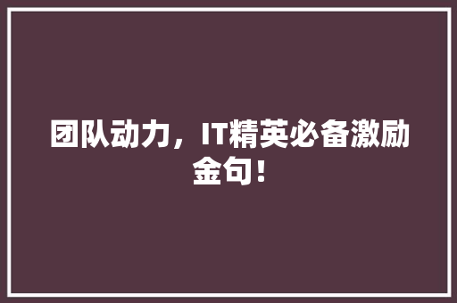 团队动力，IT精英必备激励金句！