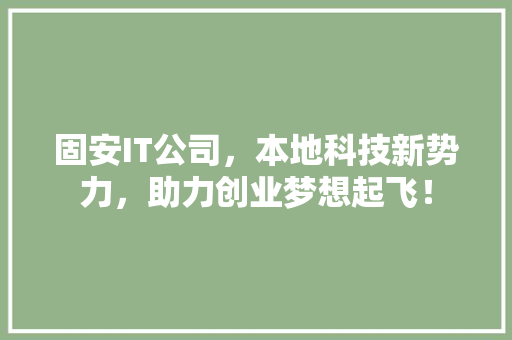 固安IT公司，本地科技新势力，助力创业梦想起飞！ 网站开发