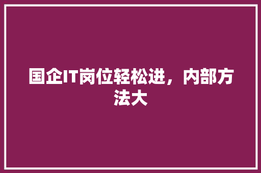 国企IT岗位轻松进，内部方法大