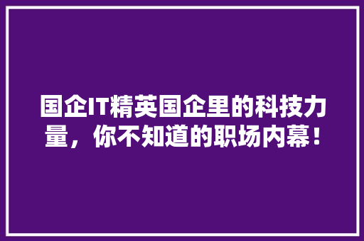 国企IT精英国企里的科技力量，你不知道的职场内幕！