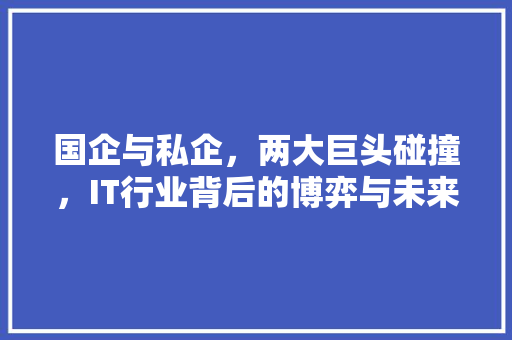 国企与私企，两大巨头碰撞，IT行业背后的博弈与未来！