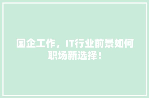 国企工作，IT行业前景如何职场新选择！