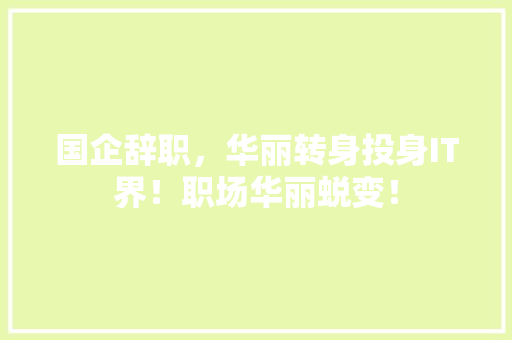 国企辞职，华丽转身投身IT界！职场华丽蜕变！