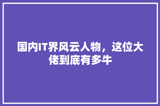 国内IT界风云人物，这位大佬到底有多牛
