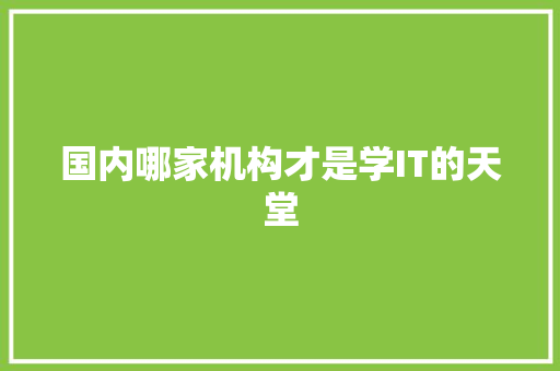 国内哪家机构才是学IT的天堂 seo技术