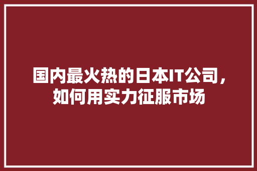 国内最火热的日本IT公司，如何用实力征服市场