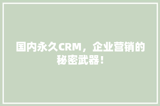 国内永久CRM，企业营销的秘密武器！