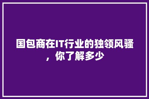 国包商在IT行业的独领风骚，你了解多少