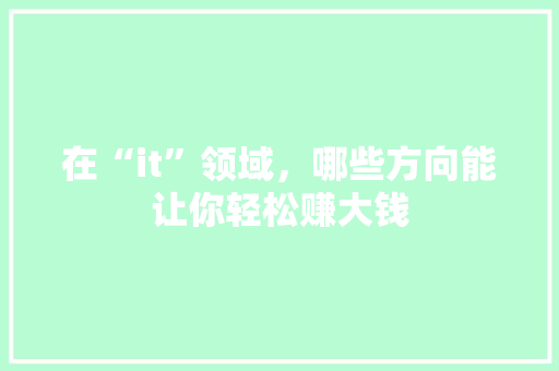 在“it”领域，哪些方向能让你轻松赚大钱