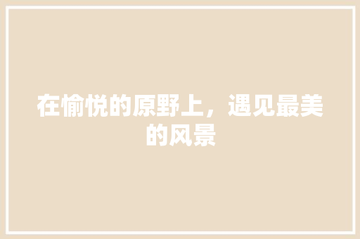 在愉悦的原野上，遇见最美的风景 网站开发