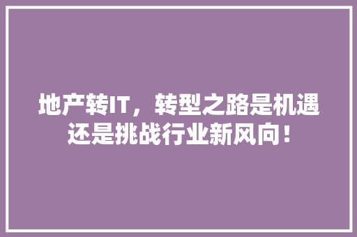地产转IT，转型之路是机遇还是挑战行业新风向！