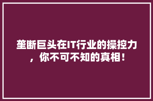 垄断巨头在IT行业的操控力，你不可不知的真相！ AI技术学习