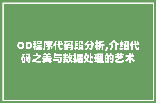 OD程序代码段分析,介绍代码之美与数据处理的艺术
