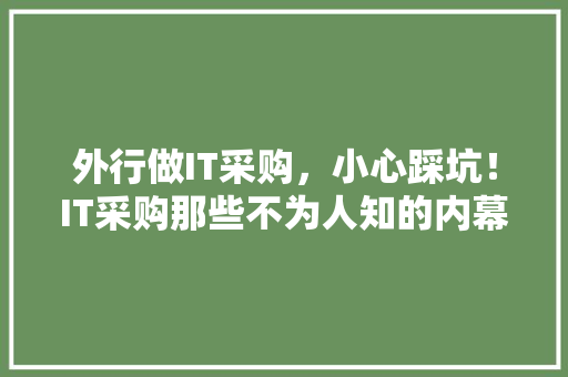 外行做IT采购，小心踩坑！IT采购那些不为人知的内幕！ 网站优化