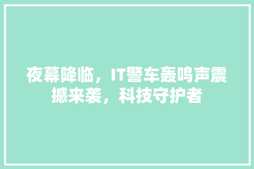 夜幕降临，IT警车轰鸣声震撼来袭，科技守护者 网站开发