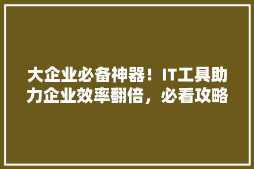 大企业必备神器！IT工具助力企业效率翻倍，必看攻略 360搜优化