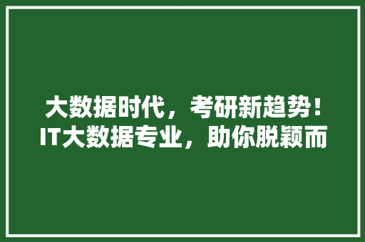 大数据时代，考研新趋势！IT大数据专业，助你脱颖而出
