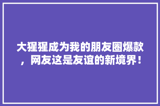 大猩猩成为我的朋友圈爆款，网友这是友谊的新境界！