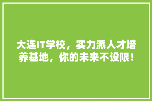 大连IT学校，实力派人才培养基地，你的未来不设限！